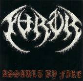 The Furor : Assault by Fire The Furor : Assault by Fire